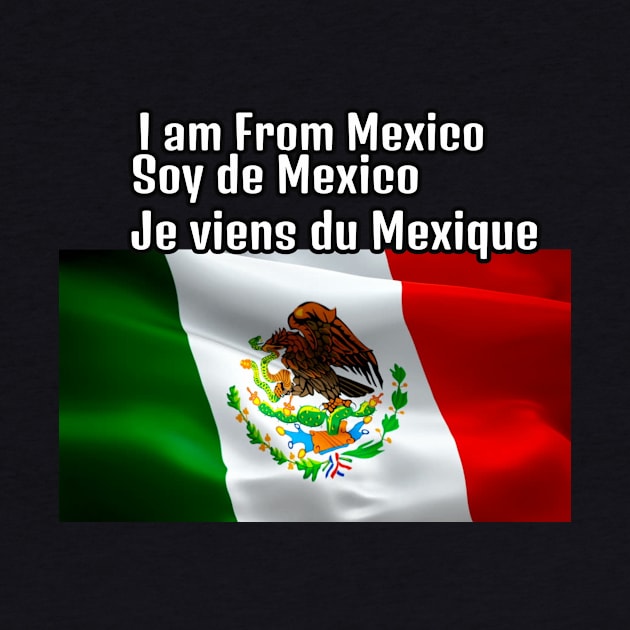 I am From Mexico by HR